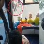Terenyuh! Dua Remaja Tunggu di Pinggir Jalan Demi Bertemu Ayahnya Sopir Bus