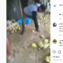 Viral Video Pria Hancurkan Buah Melon Dagangan Diduga karena Tak Laku