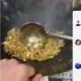 Viral Video Masak Mi Goreng, Netizen Salfok ke Tangan sang Chef