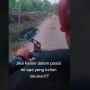 Viral Video Pemotor Papasan Sama Macan, Warganet Ikut Tahan Napas