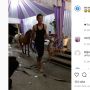 Viral Seorang Pria Bawa Tiga Ekor Kuda Ikut 'Kondangan' di Acara Nikahan, Pengantin Sampai Melongo