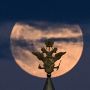 Super Flower Blood Moon 2022 Jadi Gerhana Bulan Total Terlama dalam 33 Tahun