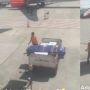 Beri Tempat Teduh pada Peti Jenazah, Aksi Petugas Bandara Ini Buat Warganet Terharu