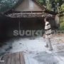 Takut Usai Rumahnya Dipakai Syuting KKN di Desa Penari, Ngadiyo dan Istri Pindah Rumah