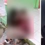 Meresahkan! Viral 2 ABG Asyik Ciuman di Depan Rumah, Tak Merasa Malu Meski Direkam Teman Sendiri