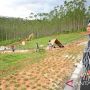 Wisata dan Ekonomi Kreatif di IKN Nusantara Harus Dikembangkan, Hetifah Sjaifudian Desak Langsung Pemkab PPU Soal Ini