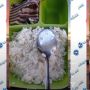 Unggah Potret Bekal Makanan, Warganet Salfok dengan Lauknya