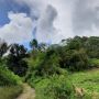 Hutan, Ekosistem Pengendali Bencana