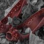 Mengenal Femicide: Pembunuhan atas Nama Gender di Eropa