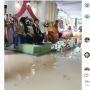 Viral Resepsi Pernikahan Dikepung Banjir, Ada yang Jadi 'Sawah'