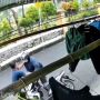 Video Kocak, Detik-detik Maling BH Beraksi di Siang Bolong dan Langsung Dibekuk Suami Korban