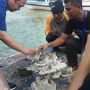 Cinta Laut, LPDP Lakukan Transplantasi Karang dan Pemberdayaan Masyarakat di Kepulauan Seribu
