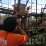 Terpopuler: Lembang Park and Zoo Bandung Kehilangan Lima Ekor Burung, Korban Selamat Kecelakaan Bus Ciamis Buka Suara