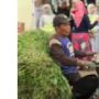 Viral, Pemotor Angkut Rumput Nekat Terobos Acara Nikahan di Jalan Umum