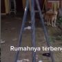 Anjing Ini Tetap Setia Tunggu Rumah meski Majikannya Sudah Tidak Ada Lagi, Videonya Viral