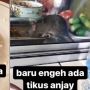 Baru Selesai Makan di Warteg, Warganet Kaget Tikus Ikut Nyeruput Kuah Sayur di Depannya