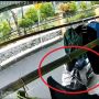 Viral Aksi Pemotor Berhenti di Depan Rumah Orang Bikin Publik Heran, Ternyata Curi Benda Tak Terduga Ini