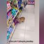 Ulah Kucing Oranye Buka Makanan di Minimarket, Warganet: Untung Bukan Royal Canin