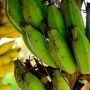 Viral Remaja Pencuri Pisang Diarak di Pati, Netizen Kecam Warga Setelah Tahu Alasannya