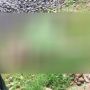 Seorang Perempuan Tanpa Identitas Tewas Tertabrak KRL Jurusan Bogor-Jakarta di Kebon Pedes