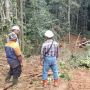 Sedang Istirahat Dalam Perkemahan, Mislan dan Abdul Malim Tertimpa Pohon Besar
