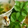 Kenali! 5 Keunggulan Pengobatan Herbal, Efektif dan Mudah Didapat