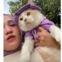 Hilang Sampai Bikin Publik Sedih, Kucing Pororo Akhirnya Ditemukan, Begini Kondisinya