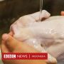 Bahaya Mencuci Ayam Mentah: Bagaimana Cara Mencegah Keracunan Makanan