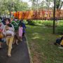 Pengunjung Tebet Eco Park Dibatasi 10 Ribu Orang Per Hari Pada Juli 2022