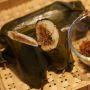 Resep Arem-Arem dari Sorgum, Pangan Lokal yang Kaya Serat dan Nutrisi