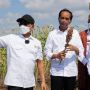 Presiden Jokowi Tanam Sorgum di Sumba Timur, Moeldoko: Tanaman Bandel Bisa Hidup Dimana Saja