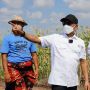 Bisa Jadi Alternatif saat Krisis Pangan, Moeldoko: Sorgum Tanaman Bandel, Bisa Ditanam di Daerah Kurang Air Sekalipun