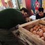 Harga Telur Makin Mahal, Pemprov Lampung Berencana Gelar Operasi Pasar
