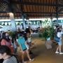 Ratusan Pengusaha Muda Singapura Beramai-ramai Datang ke Batam, dalam Rangka Apa?