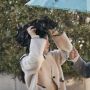 Moon Ga Young dan Yeo Jin Goo Tampil Mesra di Cuplikan Drama Terbaru tvN