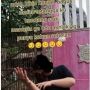 Perempuan Ini Protes Kandang Sapi Dibangun Berdekatan Rumahnya, Sebut Tetangga Tak Berakhlak