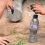 Dua Bocah Main Lempar Botol, Wajahnya yang Hitam Bikin Ngakak: Sportif