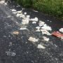 Sampah Diapers Isi Kotoran Berserakan di Jalan Taman Paradise Ungasan Hingga Viral, BUMDes Geram