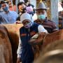 Pemprov Jatim Siapkan 1.276 Juleha Buat Sembelih Hewan Qurban Saat Idul Adha