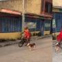 Kocak Waria Naik Sepeda Dikejar Anjing 'Baju Merah Jangan Sampai Lolos'