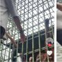 Ngakak, Niat Ajak Monyet Main, Pria ini Malah Terima Hal Tak terduga