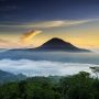 Prinsip Petani Bali Saat Menanam Kopi Kintamani di Dataran Tinggi