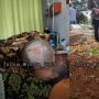 Viral Video Kakek yang Setia Temani Istrinya Terbaring di Rumah Sakit hingga Meninggal Dunia, Tuai Simpati Publik