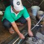 Mengenal Lebih Jauh Pemanfaatan Limbah Kotoran Sapi Menjadi Biogas