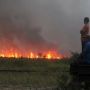 Paling Banyak di Berau, 33 Titik Panas Ditemukan di Kaltim: Tingkat Kepercayaan Menengah