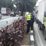 Tabrak Pembatas Jalan dan Tersungkur ke Saluran Air, Pemotor Tewas di Jakbar