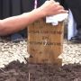 Viral Video Emak-emak Selfie Hujan-hujanan di Makam Anak Ridwan Kamil, Netizen Emosi: Enggak Ada Empati