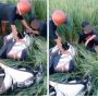 Viral Honda Scoopy Terperosok di Sawah, Warga Syok Temukan Pria Tertidur Pulas di Dekat Motor