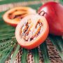 5 Manfaat Buah Terong Belanda untuk Kesehatan, Baik untuk Penglihatan Mata