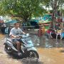 5 Kecamatan di Pasuruan Terendam Banjir Rob Akibat Luapan Permukaan Air Laut